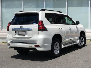 Углы заднего бампера OEM Toyota Land Cruiser Prado 150 2018- цвет черный