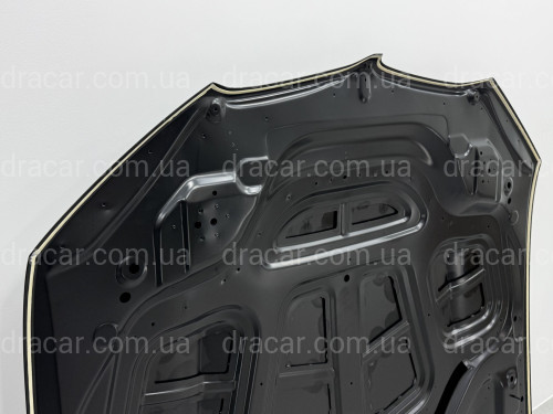 Капот алюминиевый BMW X5 G05 X5M F95 / X6 G06 X6M F96 2018- 41007492375 артикул 9163