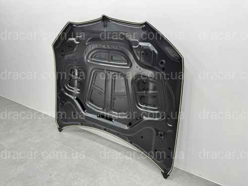 Капот алюминиевый BMW X5 G05 X5M F95 / X6 G06 X6M F96 2018- 41007492375 артикул 9163