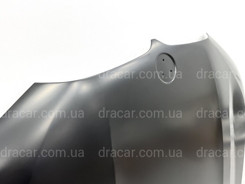 Капот алюминиевый BMW X7 G07 2019- 41007933467 артикул 9166