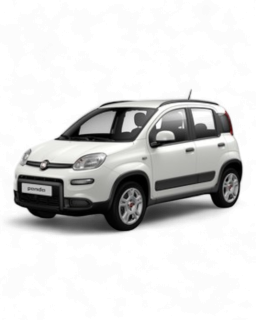 Qubo 2008- 