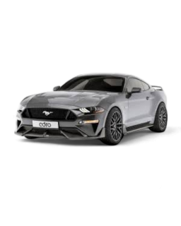 Mustang 2010-2014