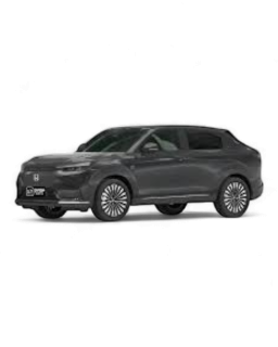 eNP1 2022-