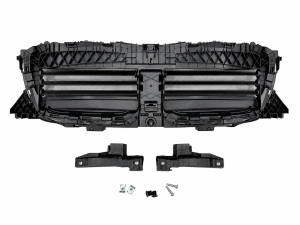 Жалюзі без моторчика 51745A22688 для BMW iX3 G08 2021+