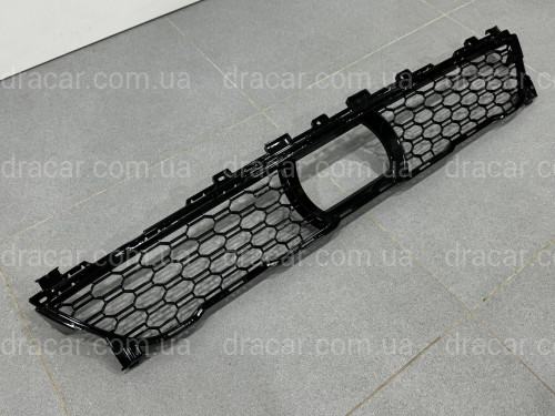 Решітка нижня під дистроник M-paket 51118069888 для BMW X7 G07 2019-2022 артикул 10690