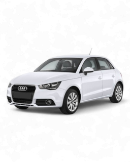 A1 2010-