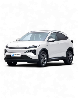  M-NV 2021-