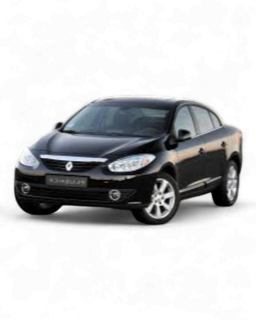 Fluence 2009-