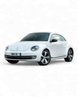 Beetle 2011-2019